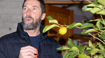 Matteo Tosatto, Valla di Riese Pio X, dicembre 2020