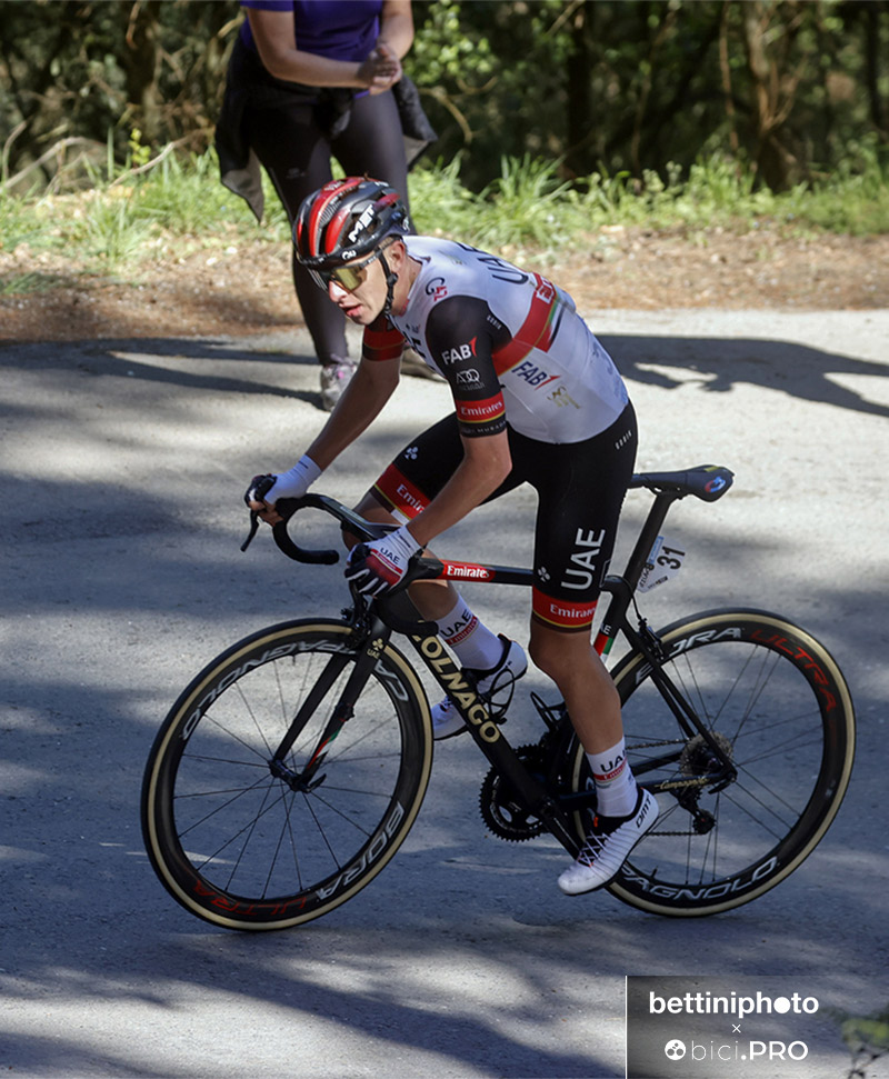 La Colnago che piace a tutti da Pogacar fino a Gaviria - bici.PRO