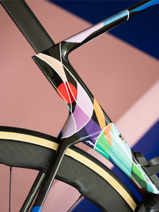 BMC, VAR0, telaio (foto Paul Klee)