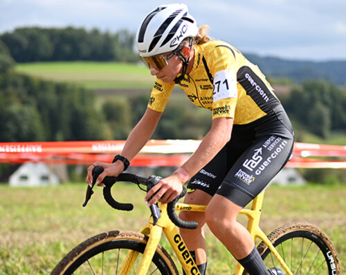 Vito di Guerciotti 2025