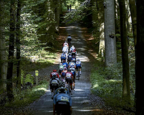 Mondiale gravel 2024, Brabante