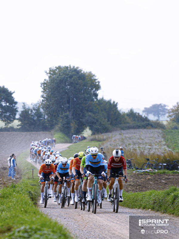 gravel race, regolamento