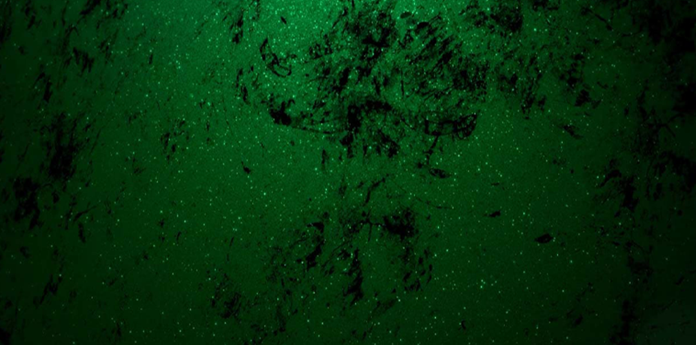 Canyon, Aeroad CFR, MyCanyon