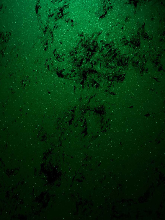 Canyon, Aeroad CFR, MyCanyon