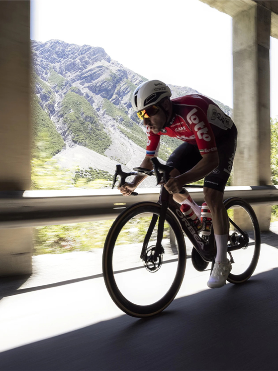 Dmt, Elia Viviani, Lotto