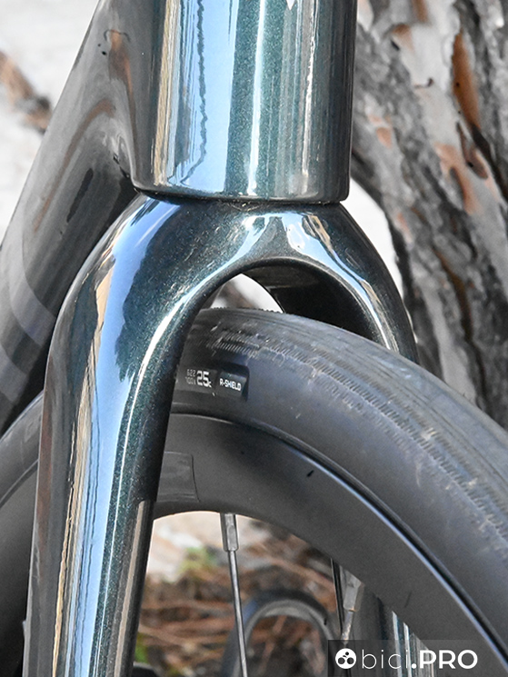 Le gomme di serie sono le Giant Gavia Course 1 da 25 millimetri. C'è la possibilità di montare coperture fino a 32 millimetri