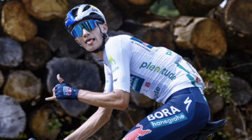 Giulio Pellizzari, Gentili