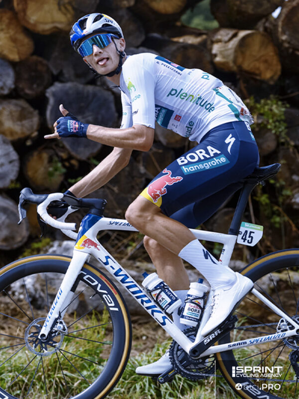 Giulio Pellizzari, Gentili