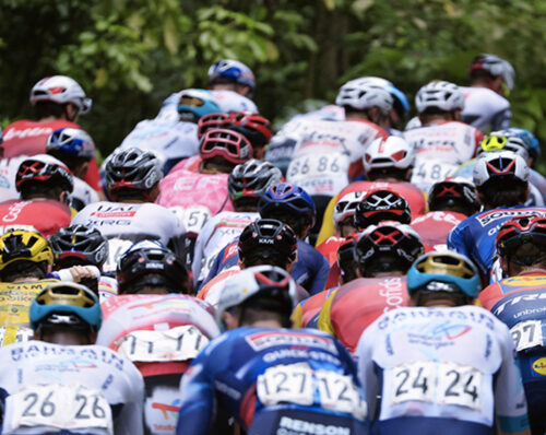 gruppo, senza contratto