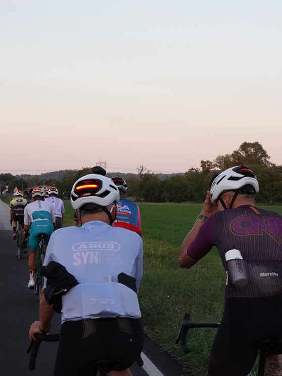 Abus, Taipan, Gravel Evening Escape