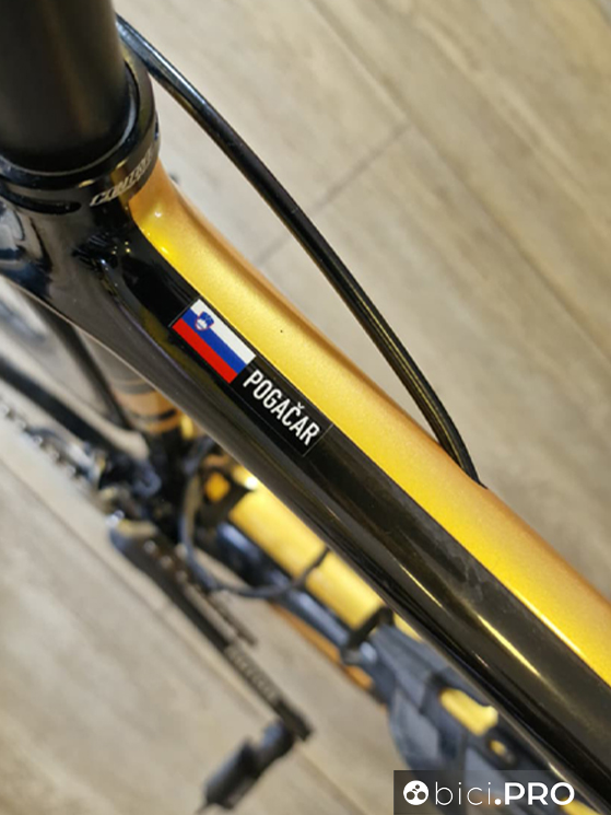 Tadej Pogacar nel 2018 ha vinto il Tour de l'Avenir con una bici Gusto