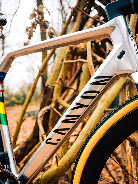 La sagomatura del tubo orizzontale rende la bici rigida ed equilibrata quando è sulla spalla