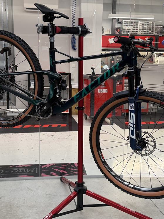 Open House Beltrami TSA, 2025