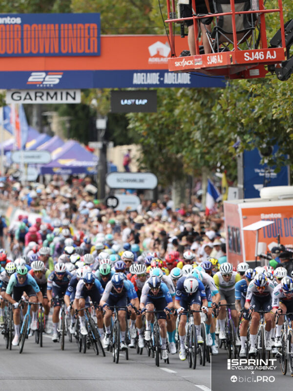 Ciclomercato, chi sale e chi scende. I giudizi di Ballan