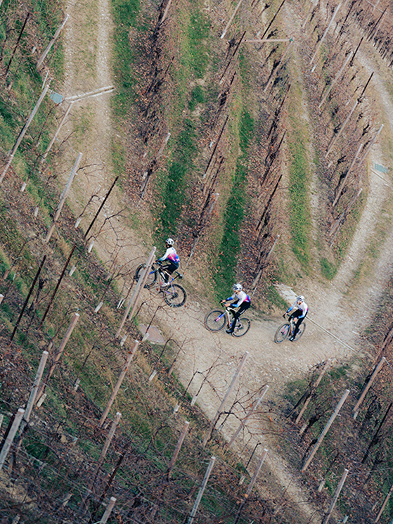 Mattia De Marchi The Grip