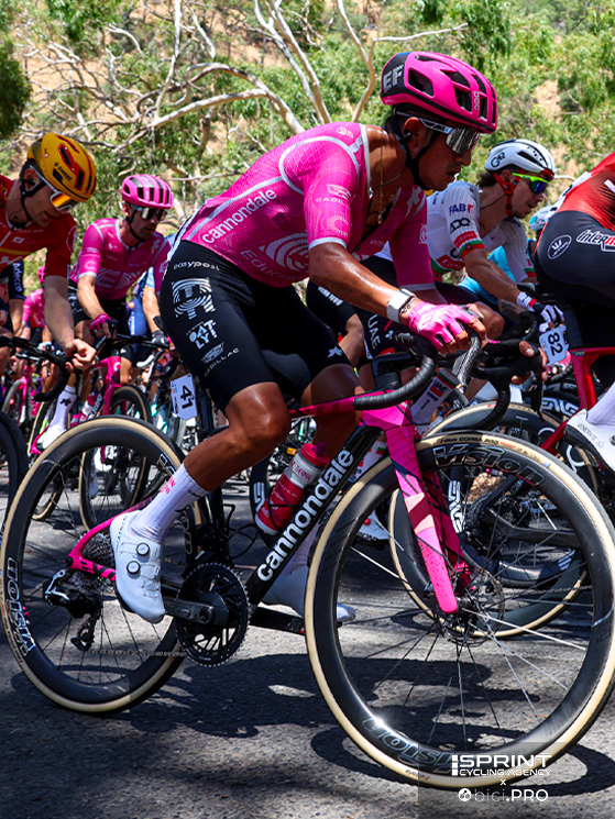 Novità e conferme, la stagione 2026 del grande ciclismo è qui