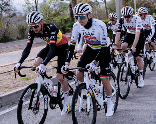 Tim Wellens, Pogacar