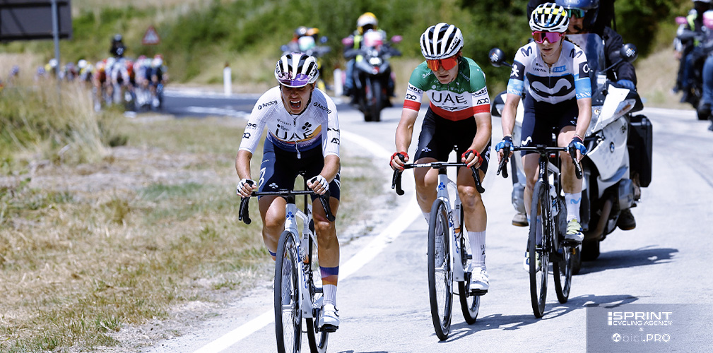 Silvia Persico, Borghini