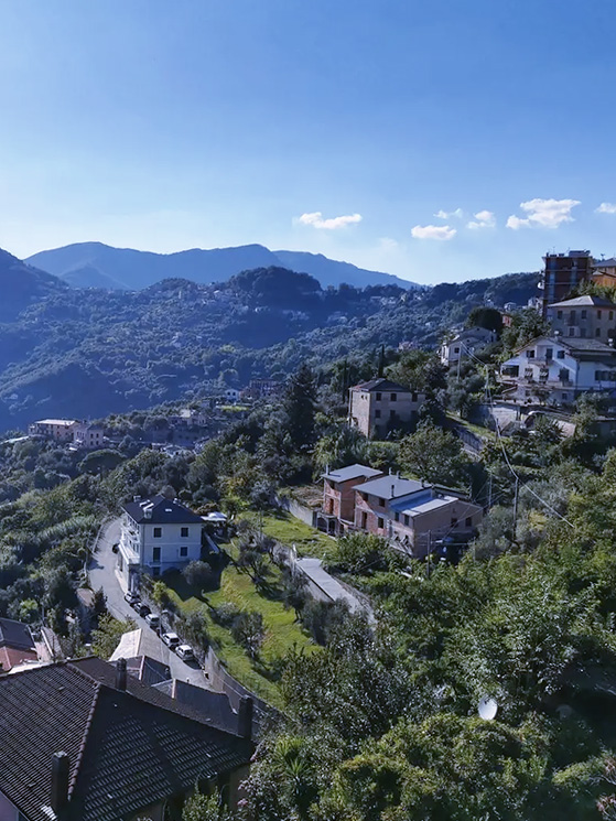 Lorenzo Finn, settimana tipo