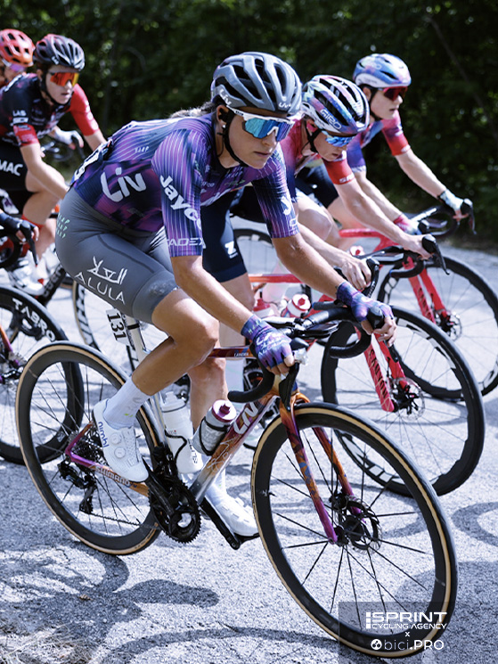 Monica Trinca Colonel