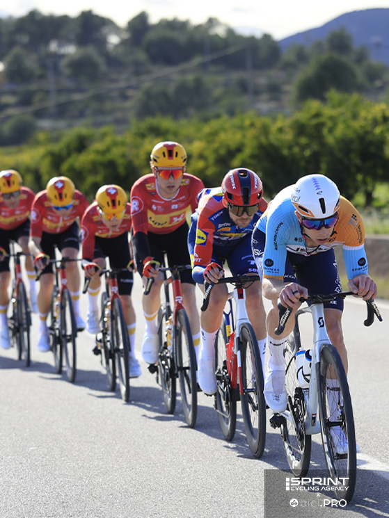 La capacità di essere performante in uno sport di endurance come il ciclismo è strettamente legata al ferro