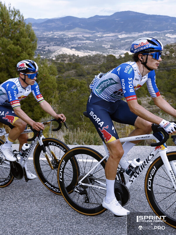 Garzelli, Remco, Pellizzari