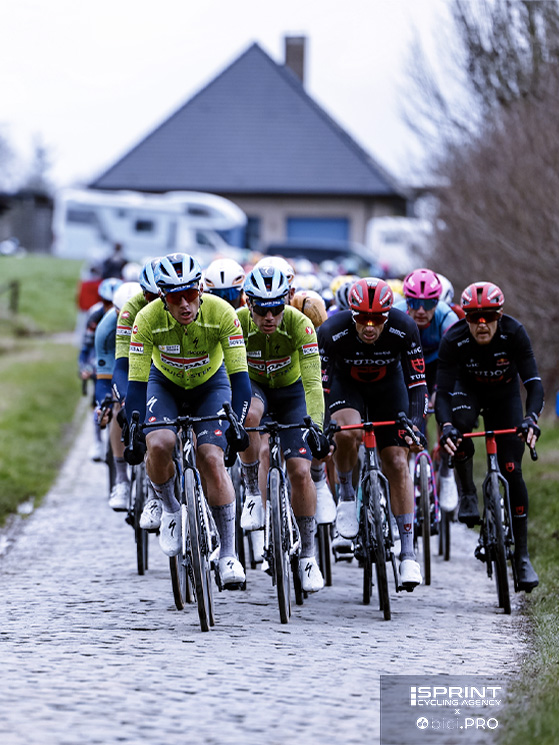Omloop 2026, Van der Poel