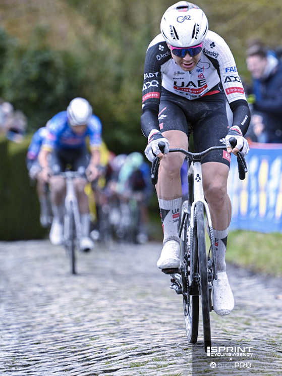 Omloop 2026, Van der Poel