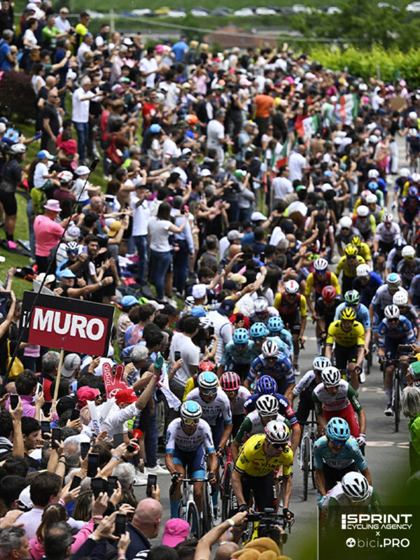 Giro d'Italia 2025, Muro di Ca' del Poggio, folla, colore, Wout Van Aert