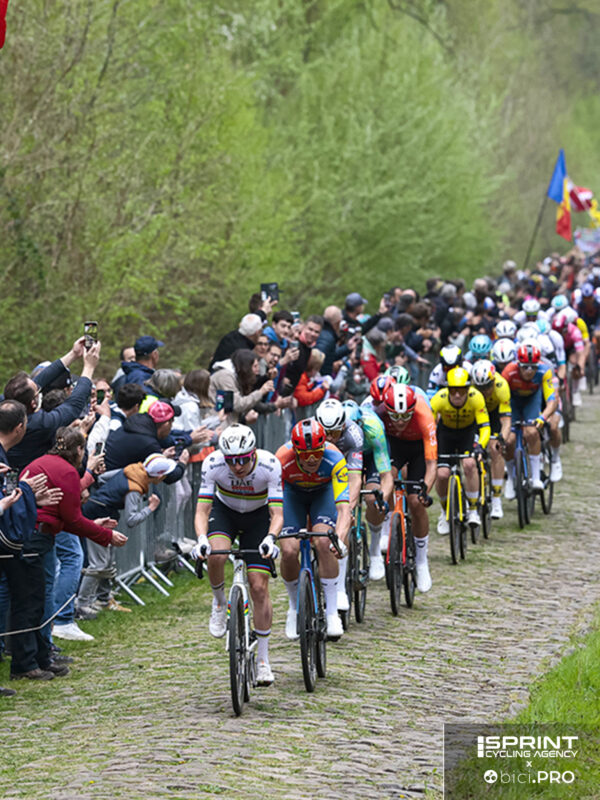 Arenberg 2025