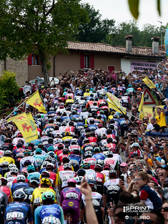 E a proposito del Fiandre, bandiere fiamminghe in Veneto: il Muro di Ca' del Poggio è gemellato con quello di Grammont