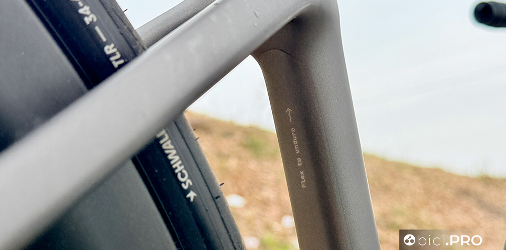 Scott Addict RC Pro vs Scott Addict 20, il racing sfida il comfort