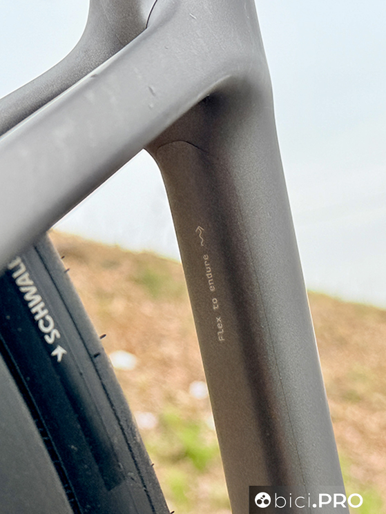 Scott Addict RC Pro vs Scott Addict 20, il racing sfida il comfort