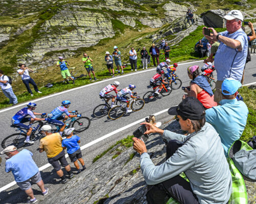Tour de Suisse 2026, colore, tifosi