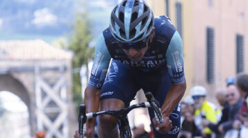 Santiago Buitrago, Camerino