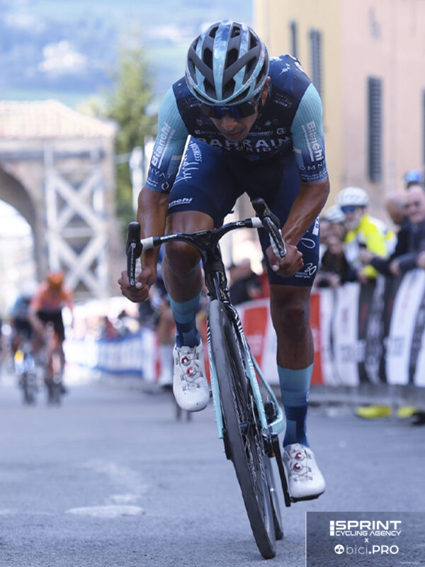 Santiago Buitrago, Camerino