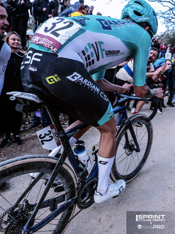 Bardiani, forza, torque, Strade Bianche