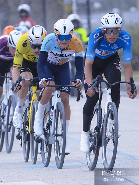 Alessandro Pinarello