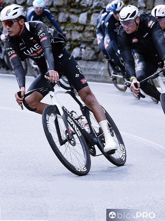 Del Toro e Van der Poel