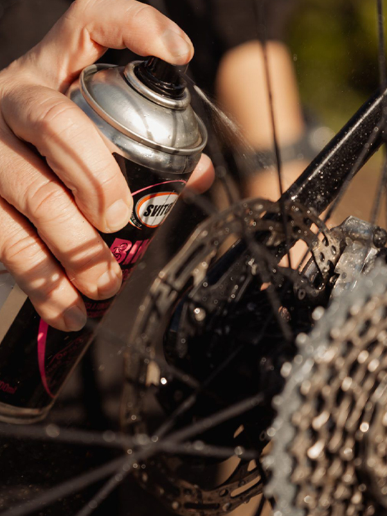 Aurum Bike, Svitol, gruppo, pacco pignone