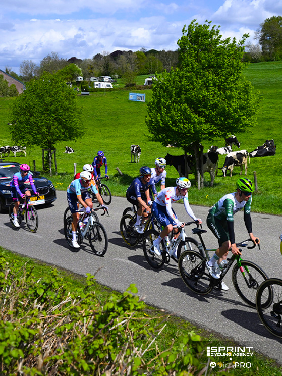 Frigo è entrato di buon mattino nella fuga dei nove partita a 247 chilometri dall'arrivo