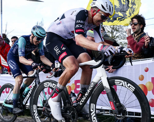 Giro delle Fiandre 2026, Florian Vermeersch