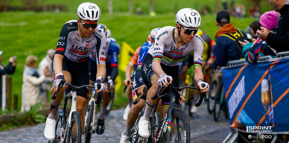 Giro delle Fiandre 2026, Florian Vermeersch, Tadej Pogacar