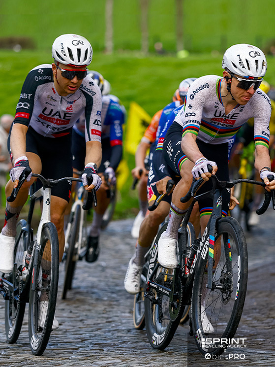 Giro delle Fiandre 2026, Florian Vermeersch, Tadej Pogacar