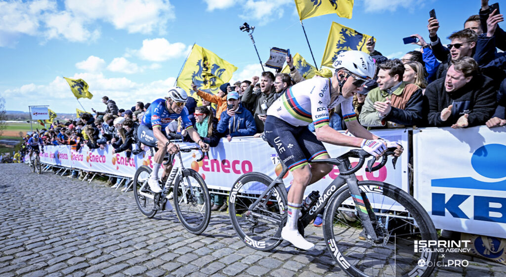 Pogacar e Van der Poel, Fiandre 2026