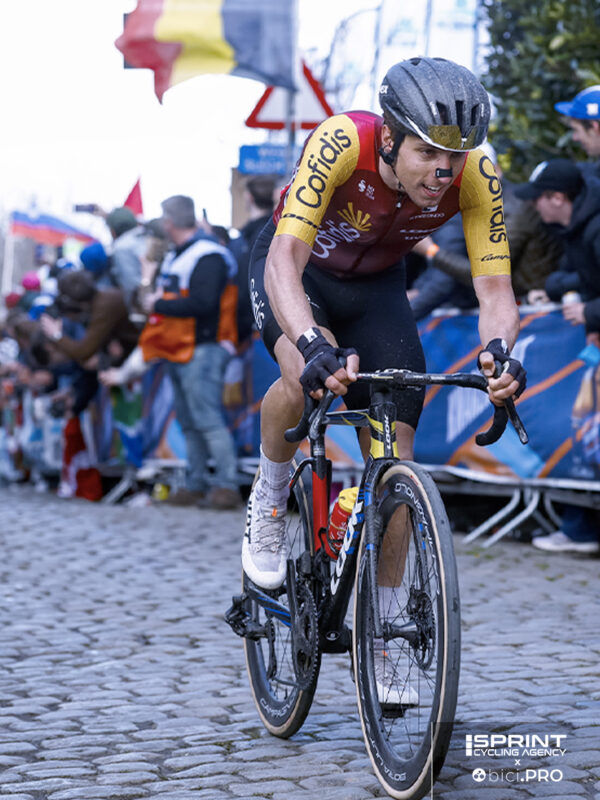 Edoardo Zamperini, Fiandre 2026