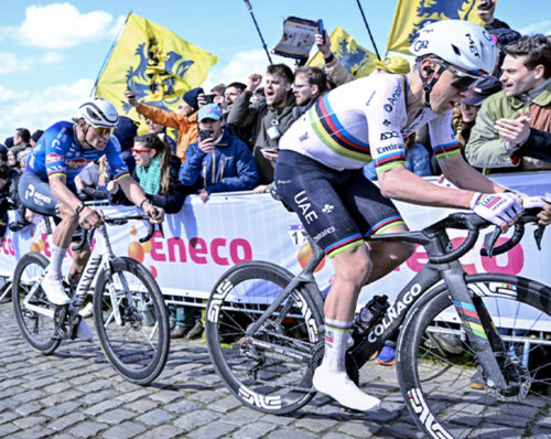 Pogacar e Van der Poel, Fiandre 2026