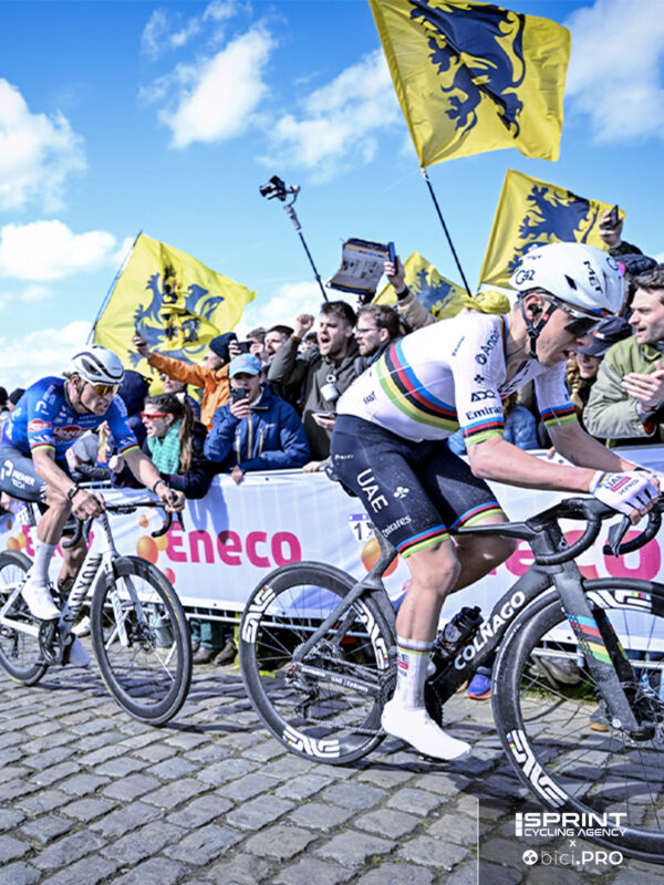 Pogacar e Van der Poel, Fiandre 2026