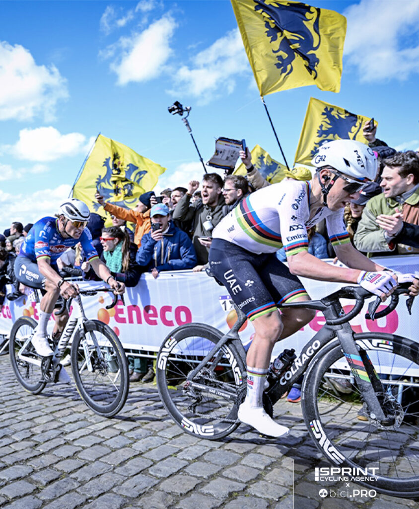 Pogacar e Van der Poel, Fiandre 2026
