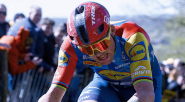 Mads Pedersen, Fiandre 2026